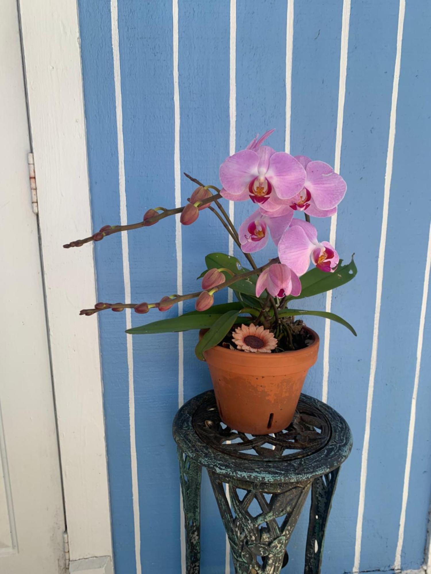 Mini Studio: 10 Min/Siesta Key/Private Entrance/ Sarasota Zewnętrze zdjęcie